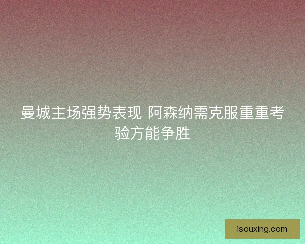 曼城主场强势表现 阿森纳需克服重重考验方能争胜