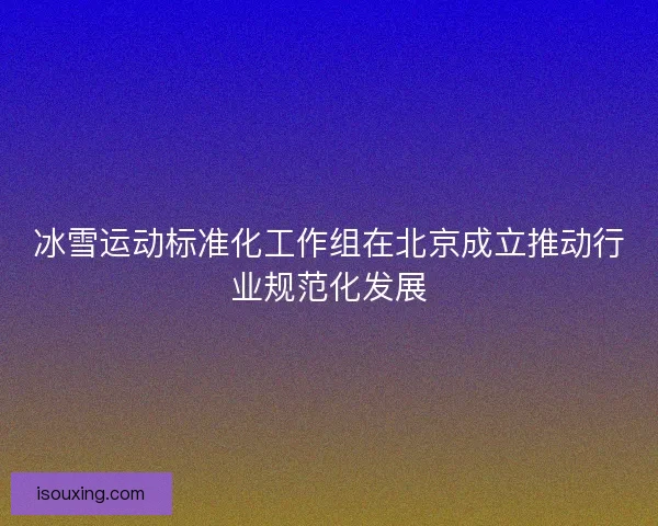 冰雪运动标准化工作组在北京成立推动行业规范化发展